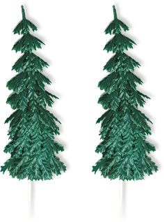 Evergreen Tree - Large