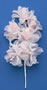 Soft Flower-Peach