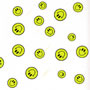 Smiley Cello - 40