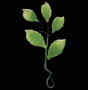 Leaf Filler - 5 Petal