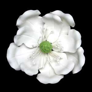 Magnolia-Full Blossomed- White