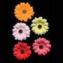 Gerbara Flowers - Gumpaste Asst.