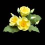 Hibiscus Spray - Yellow