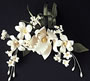 Cymbidium Spray - White-6 1/2