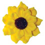 Sunflowers - Medium