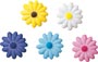 Daisies - Small Assorted Colors