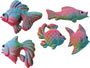 Tropical Fish Asst. Sugars