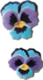 Pansies Molded Sugars