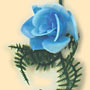 Vinyl Rose w/ Fern - Blue