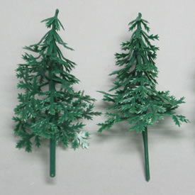 Evergreen Fir Trees