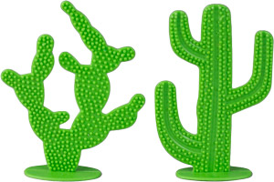 Cactus - 2 Styles Asst.