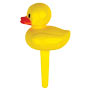 Rubber Ducky Picks