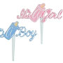 It's A Boy/Girl Script Bottle Picks