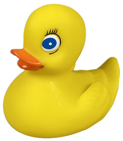 Rubber Duckies - 3