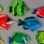 Tropical Fish Assortment