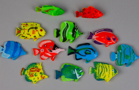 Tropical Fish Assortment
