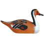Decoy Ducks