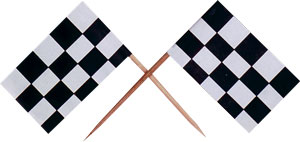 Checkered Racing Flag Pick