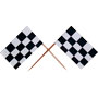 Checkered Racing Flag Pick