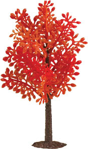 Changing Leaves Tree