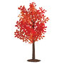 Changing Leaves Tree