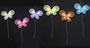 Nylon Butterflies