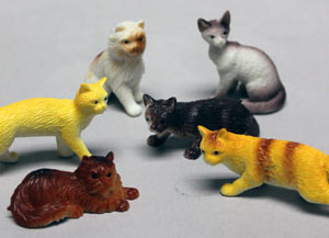 Cats - Assorted