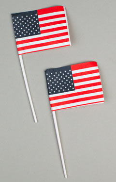 U.S. Flags - White Pick