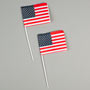 U.S. Flags - White Pick