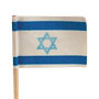 Israel Flag Picks