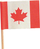 Canadian Flag Pick