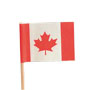 Canadian Flag Pick