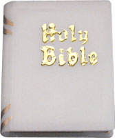 Mini Bible