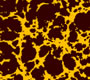 Transfer - Marble - Gold