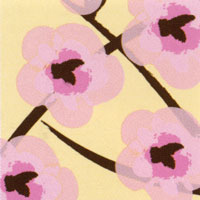 Transfers - Cherry Blossom Pinks