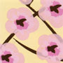 Transfers - Cherry Blossom Pinks