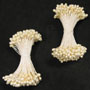 Pearl Flower Stamen - Ivory