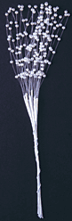 Pearl Strand Spray - Straight - White