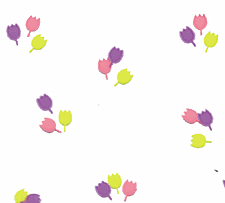 Tulip Cello - Pastel - 40