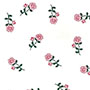 Rose Cello - 40