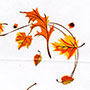 Autumn Leaves Cello - 40