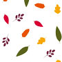 Leaves On Leaves Cello - 40