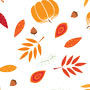 Blissful Fall Cello - 40