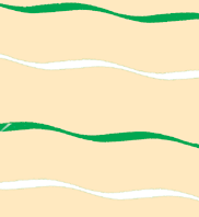 Cello Roll/Flowing Stripe Green