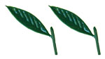 Vinyl Peach/Cherry Leaves