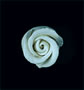 Elegance Gumpaste Small Rose - Blue