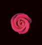 Elegance Gumpaste Small Rose - Red