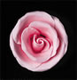 Elegance Gumpaste Medium Rose - Pink