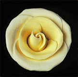 Elegance Gumpaste Medium Rose - Yellow