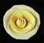 Elegance Gumpaste Medium Rose - Yellow